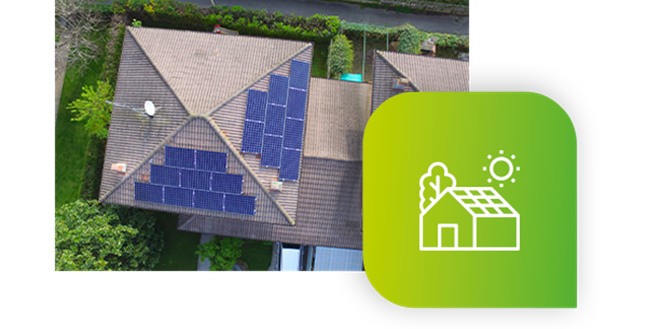 Rivoluzione verde (1) Rivoluzione verde (1)