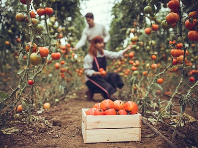 Camera dei Deputati : a marzo arriva legge su agricoltura biologica Camera dei Deputati : a marzo arriva legge su agricoltura biologica
