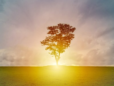 Ultime tendenze: uno stile di vita sempre più sostenibile per gli italiani Ultime tendenze: uno stile di vita sempre più sostenibile per gli italiani