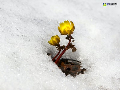 Transizione ecologica e Recovery Fund: tutto quello che bisogna sapere Transizione ecologica e Recovery Fund: tutto quello che bisogna sapere