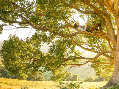 Superbonus 110% Semplificato: tutte le novità Superbonus 110% Semplificato: tutte le novità