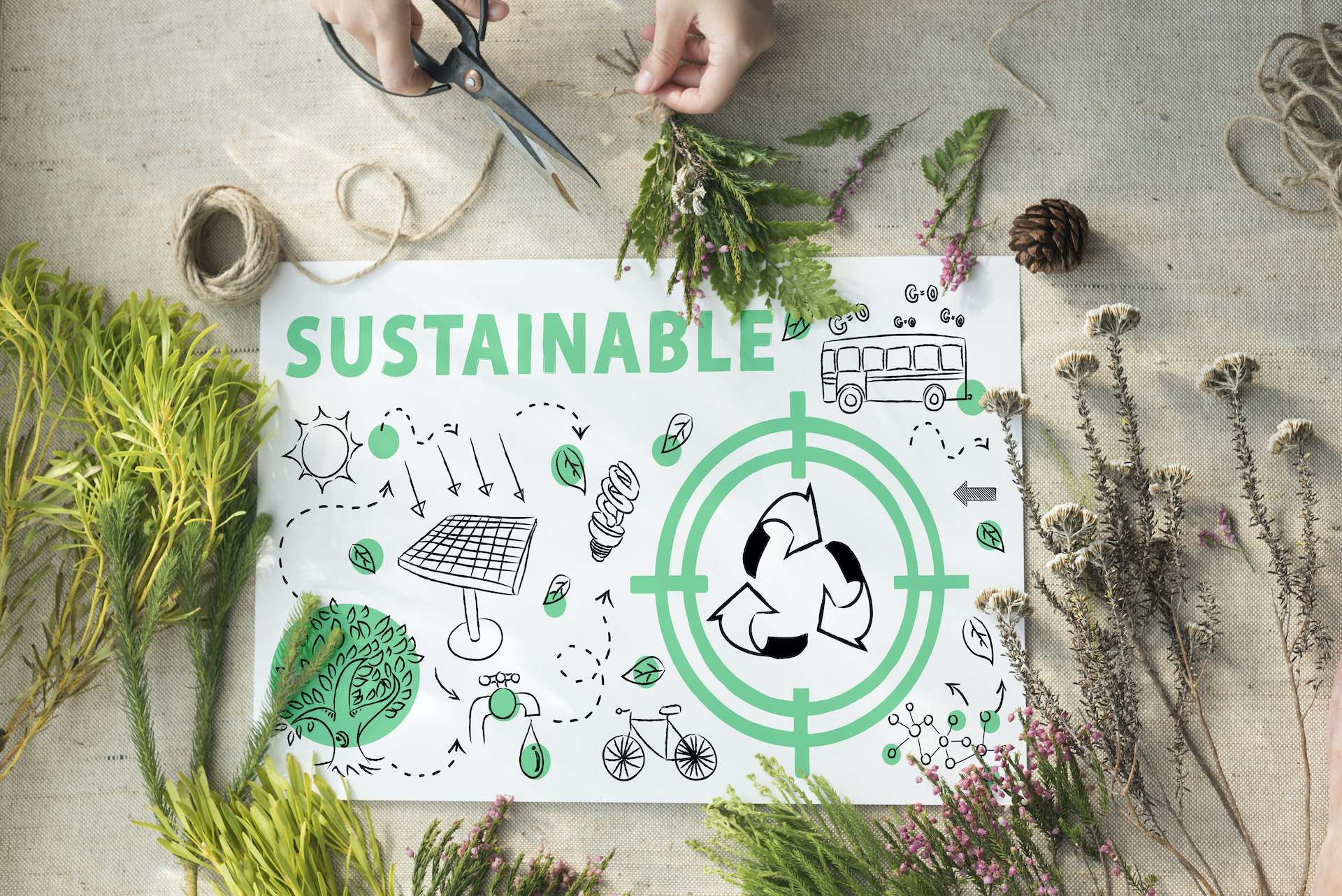 Transizione ecologica: di cosa si tratta e perché è importante
