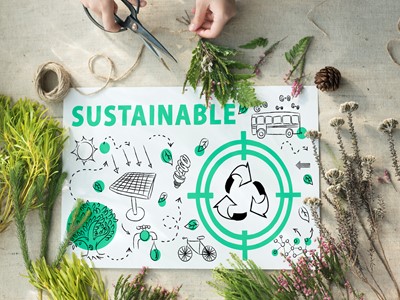 Transizione ecologica: di cosa si tratta e perché è importante Transizione ecologica: di cosa si tratta e perché è importante